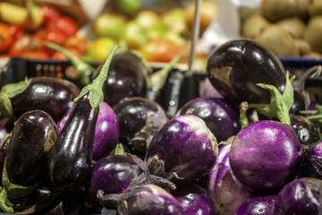 Purple Eggplant