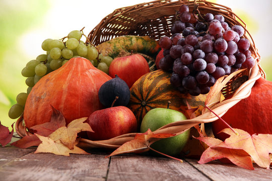 Autumn nature concept. Fall fruit and vegetables on wood. Thanksgiving dinner.