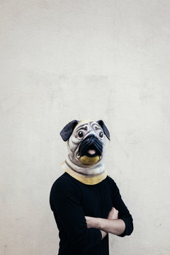 A man with a dog mask