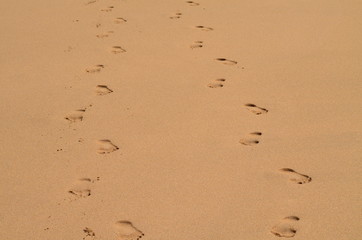 Fototapeta na wymiar Walking side by side barefoot in the sand