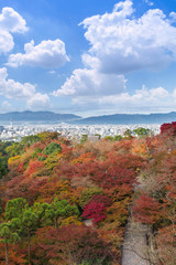 the beautiful Momiji autumn colorful maple garden at Kiyomizu-Dera temple with Kyoto city background, Japan
