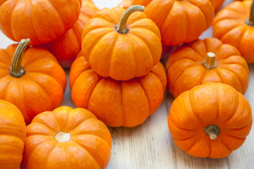 Thanksgiving Mini Pumpkins