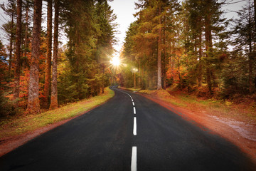 Route sinueuse en automne à travers la forêt