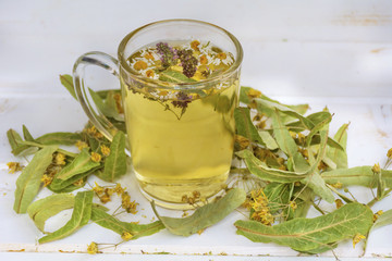 cup of linden tea 