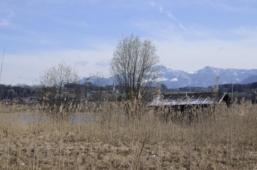 Fisherman's hut and reeds on the shore of Lake Simssee in March, village of Neukirchen and Mt. Kampenwand at back, Rosenheim County, Upper Bavaria, Germany, Europe