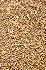 Mustard seeds, image-filling