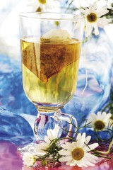 Chamomile tea with German Chamomile (Camomile) flowers (Matricariae flos)