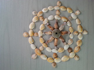 steuerrad aus muscheln © Detlef