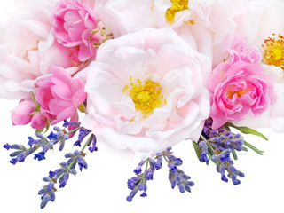 Pink roses and lavender bouquet isolated on white