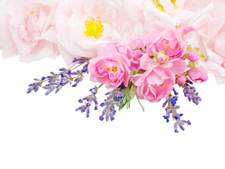 Pale pink roses and lavender bouquet isolated on white