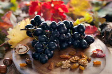 AUTOMNE_Raisins