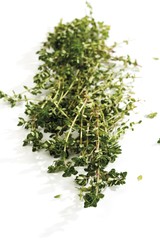 Thyme (Thymus)