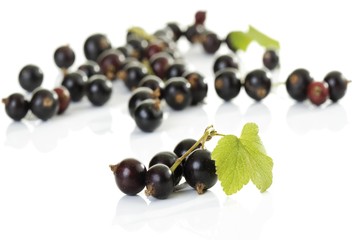 Blackcurrants, Black Currants (Ribes nigrum)