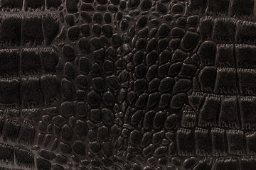 the texture of the skin is gray