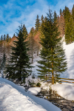 brook with cascade in winter spruce forest on a bright day. lovely nature scenery with lots of snow on hillsides 