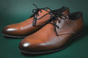 brown male shoes in green background