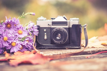 old camera on wooden background surrounded by autumn maple leaves and a bouquet of lilac autumn asters