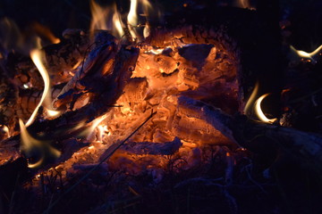 Fototapeta premium campfire