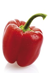 Red bell pepper with drops of water