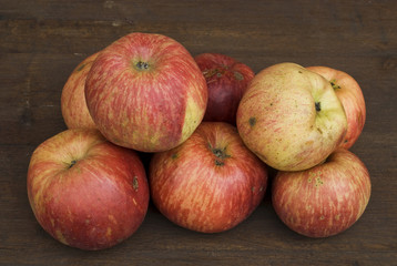 Fototapeta na wymiar Untreated biological apples, Hassberge, Lower Franconia, Bavaria, Germany, Europe