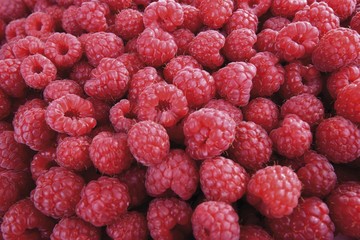 Raspberries, image-filling
