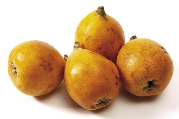 Medlars (Mespilus)