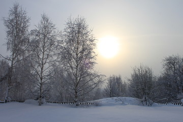 Obraz premium Gentle morning winter landscape, Russian winter