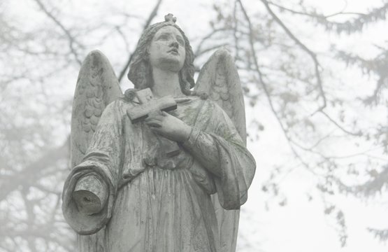 Statue of an angel at a cemetery in the fog