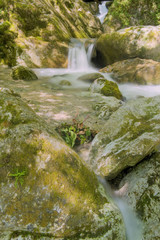 Mountain stream