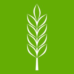 Wheat spike icon green