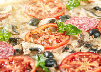 Closeup of pizza with salami, tomatoes and olives