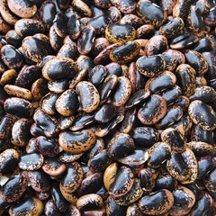 Runner Beans (Phaseolus coccineus)