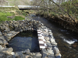 野天温泉からまつの湯