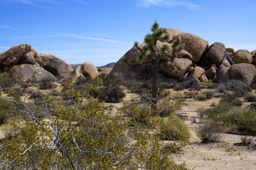 Piles