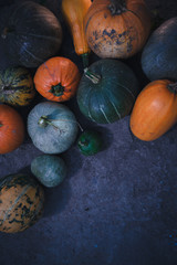 Autumn harvest of pumpkins still life of multi-colored.