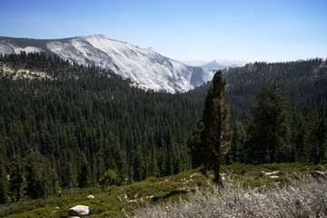 Clouds-less Rest