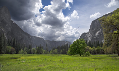 Flee the Valley