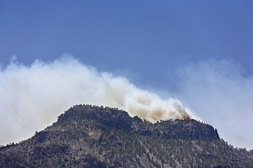 Forest fires, Gran Canaria, Spain, Europe