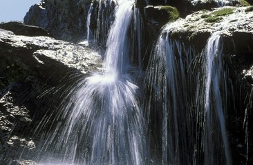 Naklejka premium Alpine stream, Fiss, Tyrol, Austria, Europe