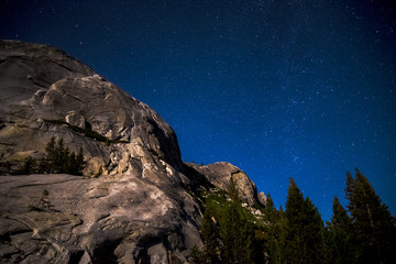 Polly Dome