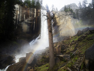 Trail of the Mist