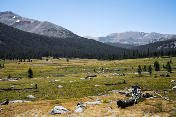 Tioga Pass