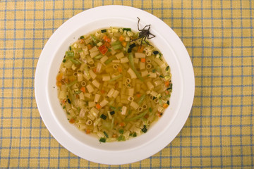 Spider in a soup