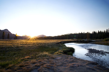 Tuolumne Meadows