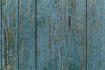 Fototapeta na wymiar Vintage wood background with blue peeling paint.