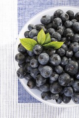 Blueberries with leaves