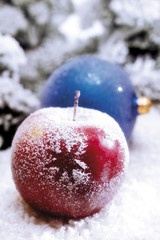 Apple coated with powder sugar in a snowy forest