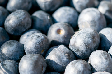 Pile of fresh blueberries