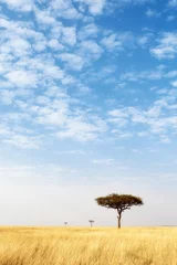 Tuinposter Open Grass Field With Big Blue Sky - Vertical © adogslifephoto