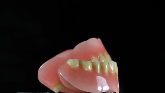 Full dentures lower and upper jaw that spin in circles